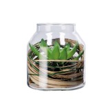 Cumpara ieftin Plante suculente artificiale in borcan II 14 x 16 cm