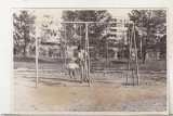 Bnk foto Ploiesti - Cartierul Nord - parcul - 1969, Alb-Negru, Romania de la 1950, Cladiri