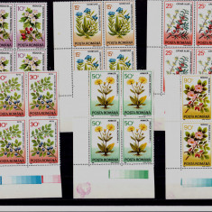 RO 1993 LP 1310 "Plante medicinale" -bloc de 4 / 30 Lei cu EROARE catalogata,MNH