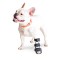 Walkinpets - Atelă ortopedică pentru picioarele din față - pentru c&acirc;i