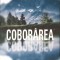 COBORAREA-TIM JOHNSTON-275670