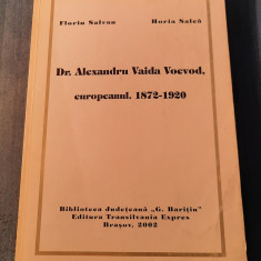 Dr. Alexandru Vaida Voevod europeanul 1872 1920 Florin Salvan