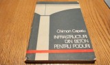INFRASTRUCTURI DIN BETON PENTRU PODURI - Chimon Capatu - Editura Tehnica, 1988, 238 p. cu figuri in text