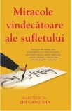 Miracole vindecatoare ale sufletului - Zhi Gang Sha