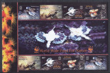 Cumpara ieftin Maldives - Fauna Marina - PESTI - PESTELE DRAC - MNH