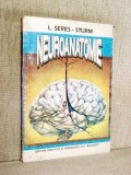 Neuranatomie - L. Seres-Sturm