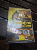 Trandafirul galben - Film DVD