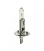 Bec halogen H1 12V 55W +30% intensitate CARGUARD BHA051