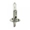 Bec halogen H1 12V 55W +30% intensitate CARGUARD BHA051
