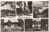 CPIB 15839 CARTE POSTALA - BORSEC, MOZAIC, RPR