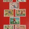 VIETNAM FOTBAL - SERIE COMPLETĂ MNH