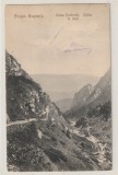 Sinaia - Busteni - Muntii Bucegi - Valea Cerbului , Drumul la Imal, Circulata, Printata, Prahova