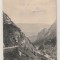 Sinaia - Busteni - Muntii Bucegi - Valea Cerbului , Drumul la Imal