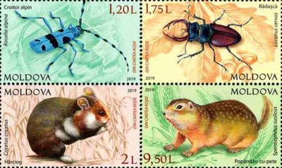 MOLDOVA 2019, Fauna, serie neuzata, MNH foto