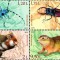MOLDOVA 2019, Fauna, serie neuzata, MNH