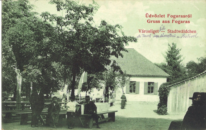 Fagaras 1911