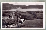 AD 284 C. P. VECHE -L&#039;AUVERGNE -LE LAC CHAMBON -FRANTA-CIRCULATA 1934, Printata