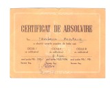 Certificat de absolvire ARLUS cursurile populare de limba rusa 1953-1954