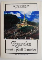 Lourdes. Oaza a pacii launtrice &ndash; Petru Pecican
