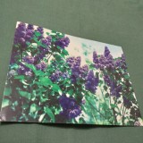 CARTE POSTALA GIGANT LILIAC NECIRCULATA