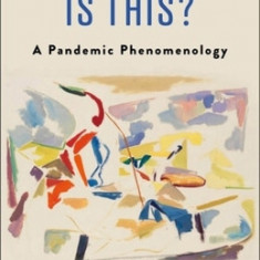 What World Is This?: A Pandemic Phenomenology