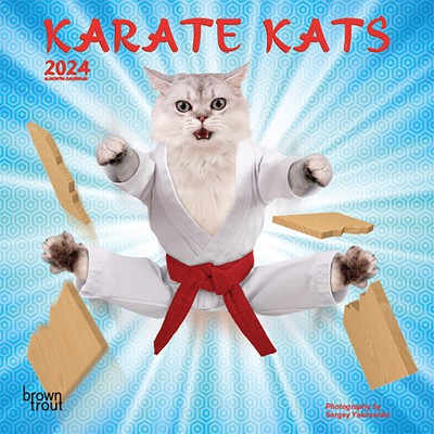 Karate Kats 2024 Mini foto