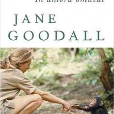 În umbra omului - Paperback brosat - Jane Goodall - Art