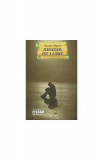 Singur pe lume - Paperback brosat - Hector Malot - Ştefan