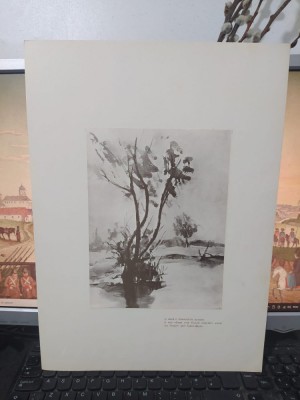 Hrandt Avachian, Planșă Delta, Și dacă-n &amp;icirc;ntomnările acestea..., Buc. 1976 224 foto