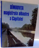 DAMBOVITA , MAGISTRALA ALBASTRA A CAPITALEI , 1988