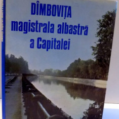 DAMBOVITA , MAGISTRALA ALBASTRA A CAPITALEI , 1988