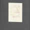 PM474N Ex-libris dr Q M Vyskočil de Franz Von Bayros, heliogravură, cca 1910