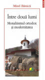 Intre doua lumi. Monahismul ortodox si modernitatea &ndash; Mirel Banica
