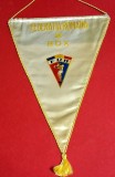 Fanion Sportiv (perioada comunista) - FEDERATIA de BOX din ROMANIA (dimensiuni mari 46x31 cm)