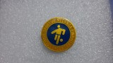 insigna AS Mecania Fina Costesti