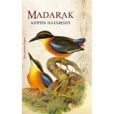 Madarak - K&eacute;pes hat&aacute;roz&oacute; - Clara Svetoslava Staykova