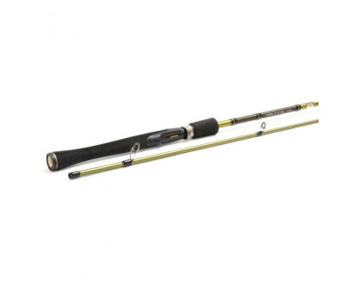 Lanseta Eagle Spin 702M 2,13 M / 7-25 gr. - Fenwick foto