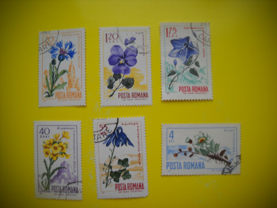 HOPCT LOT NR 267 FLORA CARPATINA 1967 -6 TIMBRE VECHI-STAMPILAT ROMANIA foto