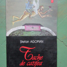 Stefan Agopian - Tache de Catifea