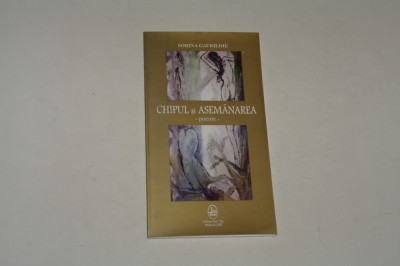 Chipul si asemanarea - Sorina Gavriloiu foto