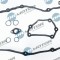 Set Garnituri, Capac Supape 307698 DRM0222