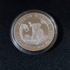 Somalia 2024 - Elefant - 1 OZ - Argint moneda , UNC