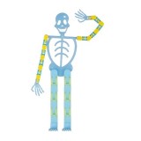 Suport pentru telefon mobil, jucarie de decompresie pentru adulti, tip schelet luminos de halloween, albastru, lungime 17 cm
