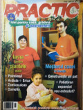 Revista Practic pentru casa, gradina si apartament 2008