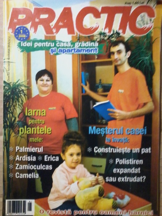 revista Practic pentru casa, gradina si apartament 2008