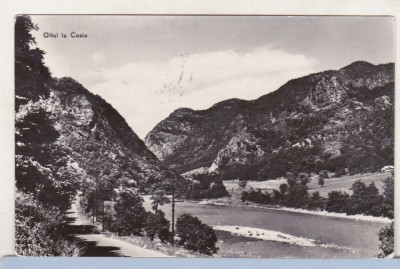 bnk cp Oltul la Cozia - Vedere - circulata foto