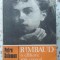 RIMBAUD O CALATORIE SPRE CENTRUL CUVANTULUI-PETRE SOLOMON-119388