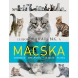 Legjobb bar&aacute;tunk, a macska
