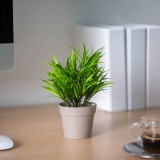 Decor plante artificiale - iarba de matase - verde - 15 x 22 cm - 3 tipuri Best CarHome