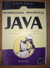 Neobrazatul, magnificul Java- Brian D. Eubanks
